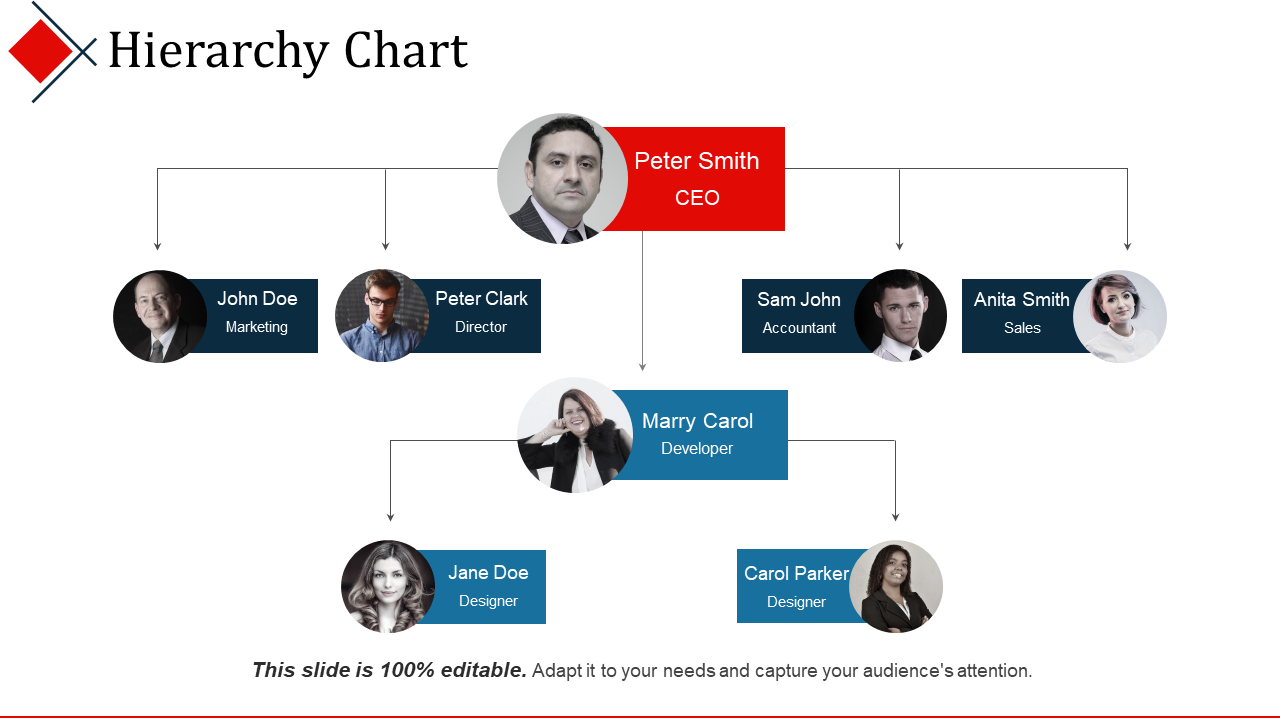 Hierarchy Chart PPT Background Template Hierarchy Chart PPT Background Template