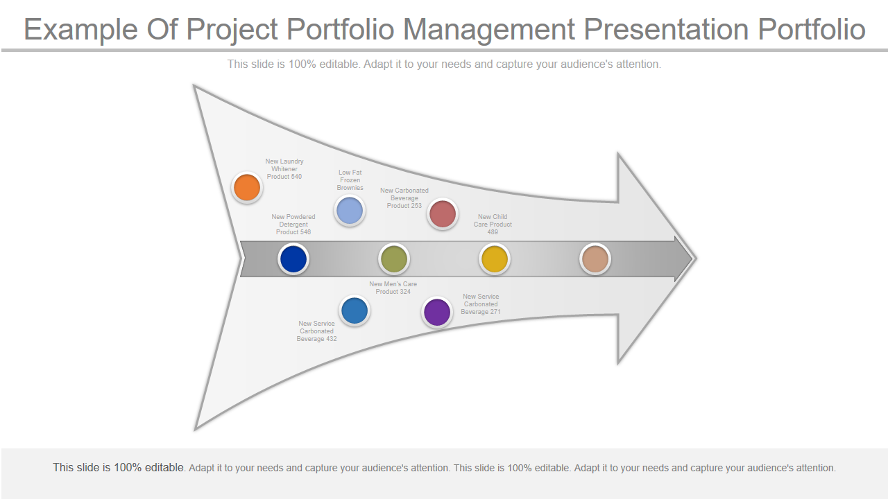 Example Of Project Portfolio Management Presentation Portfolio 