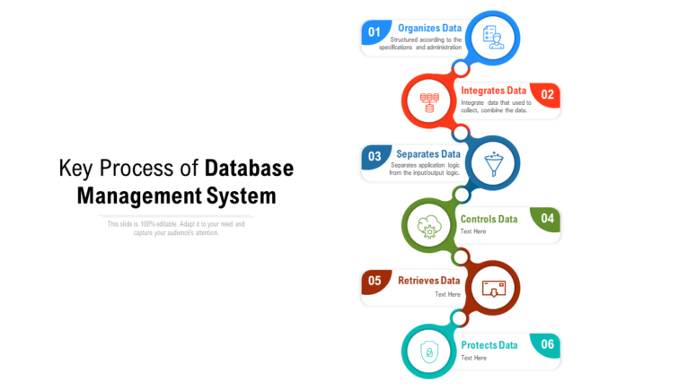 Key Process Of Database Management System