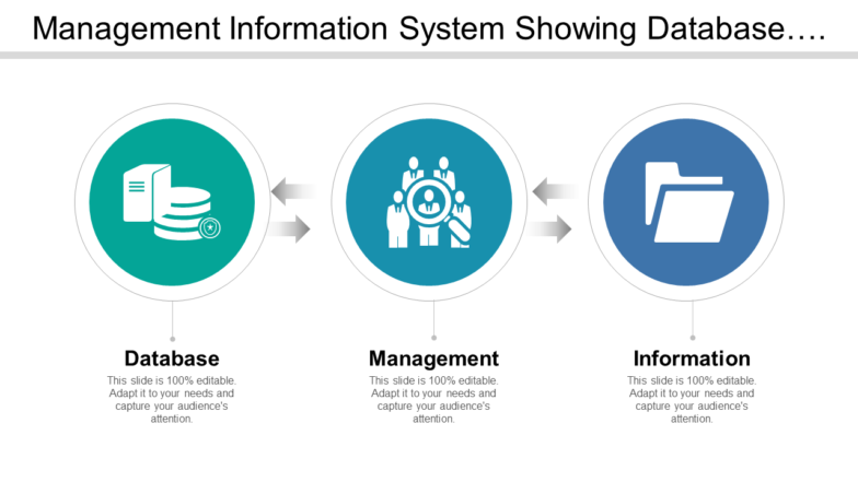 Management Information System Showing Database