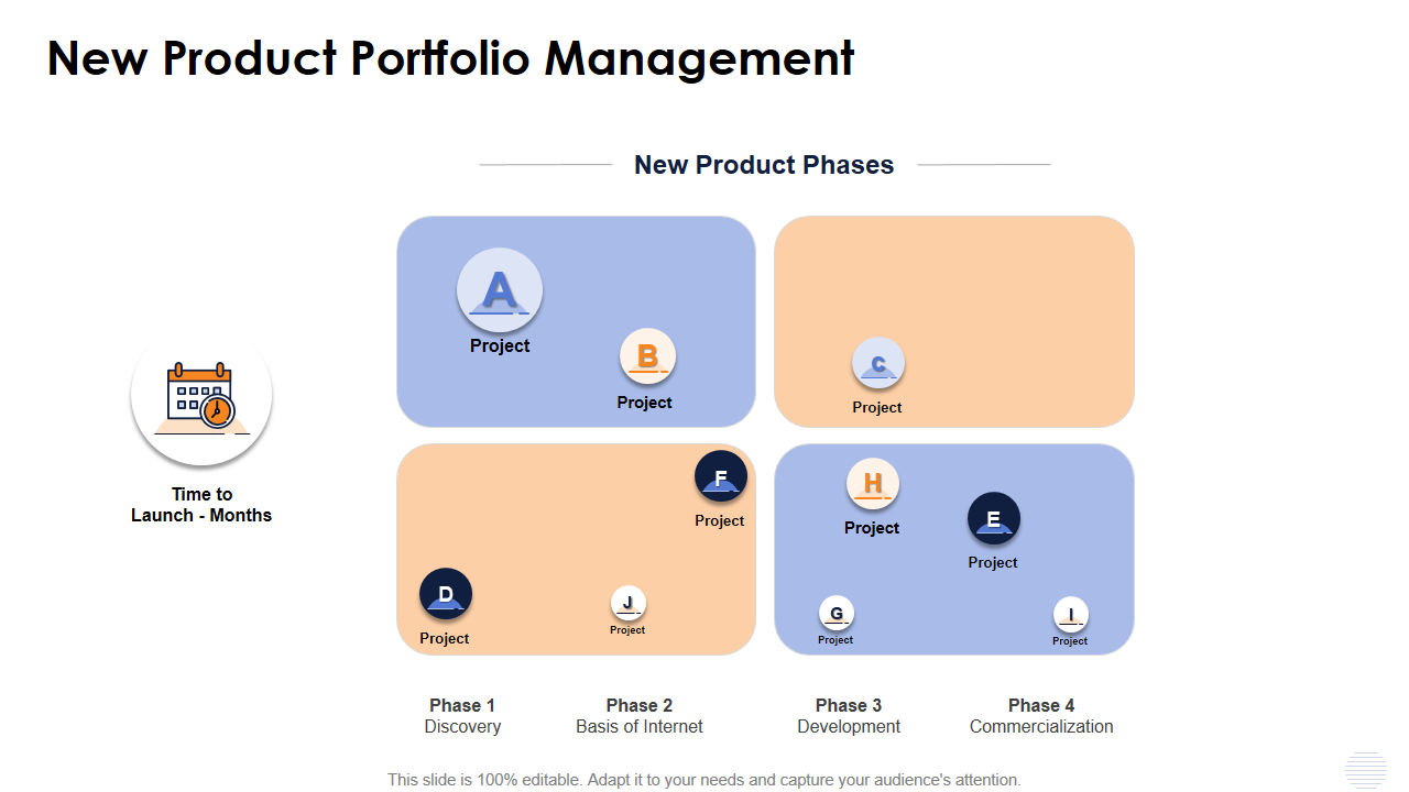 New Product Portfolio Management 