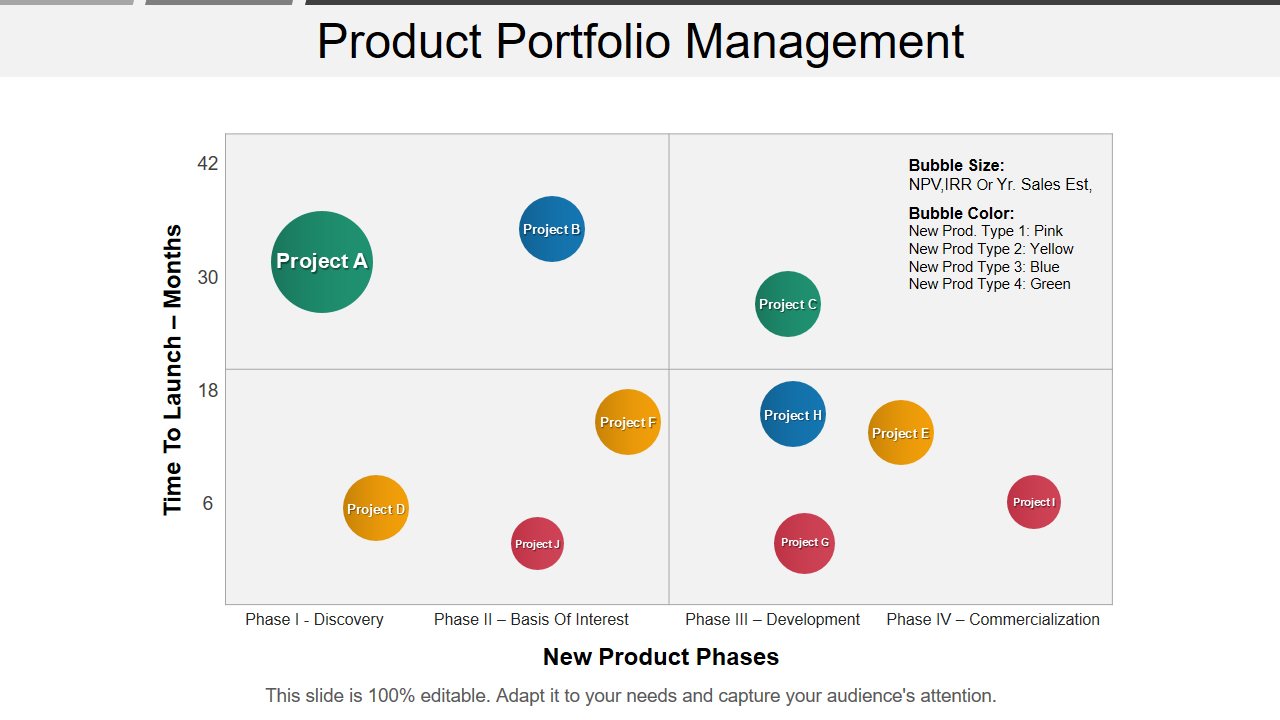 Product Portfolio Management 