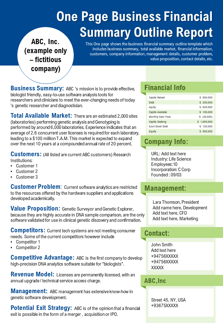 One Page Business Financial Summary Template