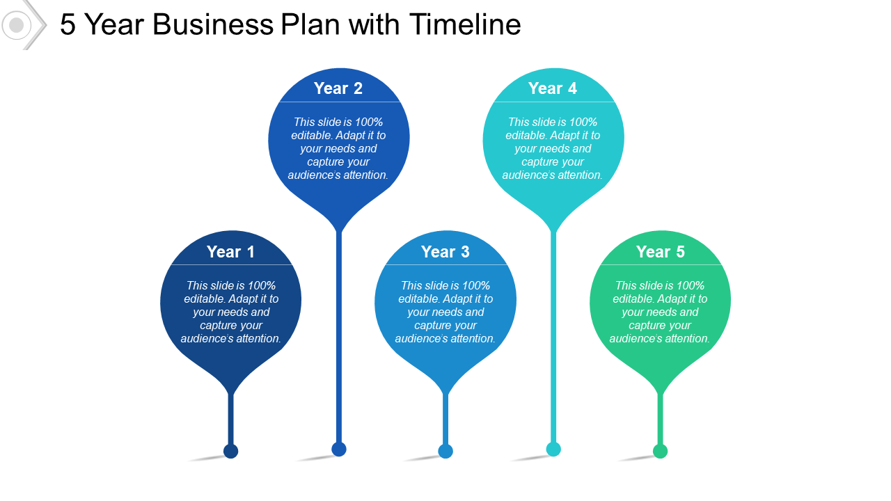 5 Year Business Plan With Timeline