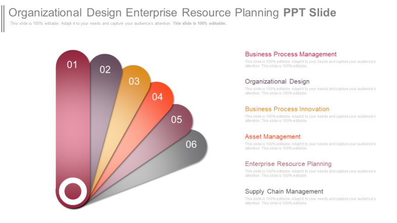 Organizational Design Enterprise Resource Planning