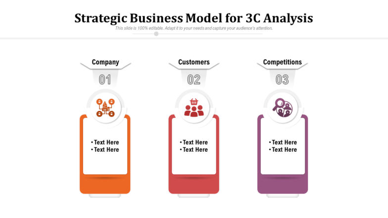 Strategic Business Model For 3c Analysis