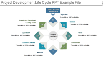 Project Development Life Cycle Ppt Example File