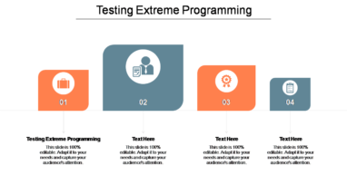 Testing Extreme Programming Ppt Powerpoint Presentation File Portrait Cpb