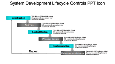 System Development Lifecycle Controls Ppt Icon