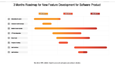 3 Months Roadmap For New Feature Development For Software Product