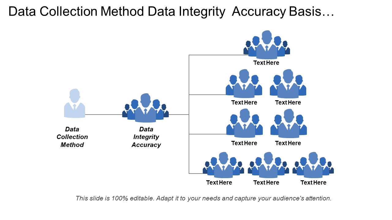 Data Collection Method Data Integrity Accuracy Basis Statistics
