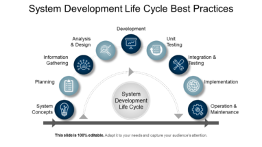 System Development Life Cycle Best Practices Ppt Background