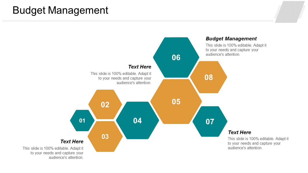 Budget Management PPT Presentation Slides
