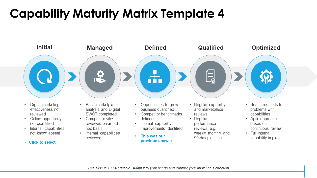 Capability Maturity Matrix Template