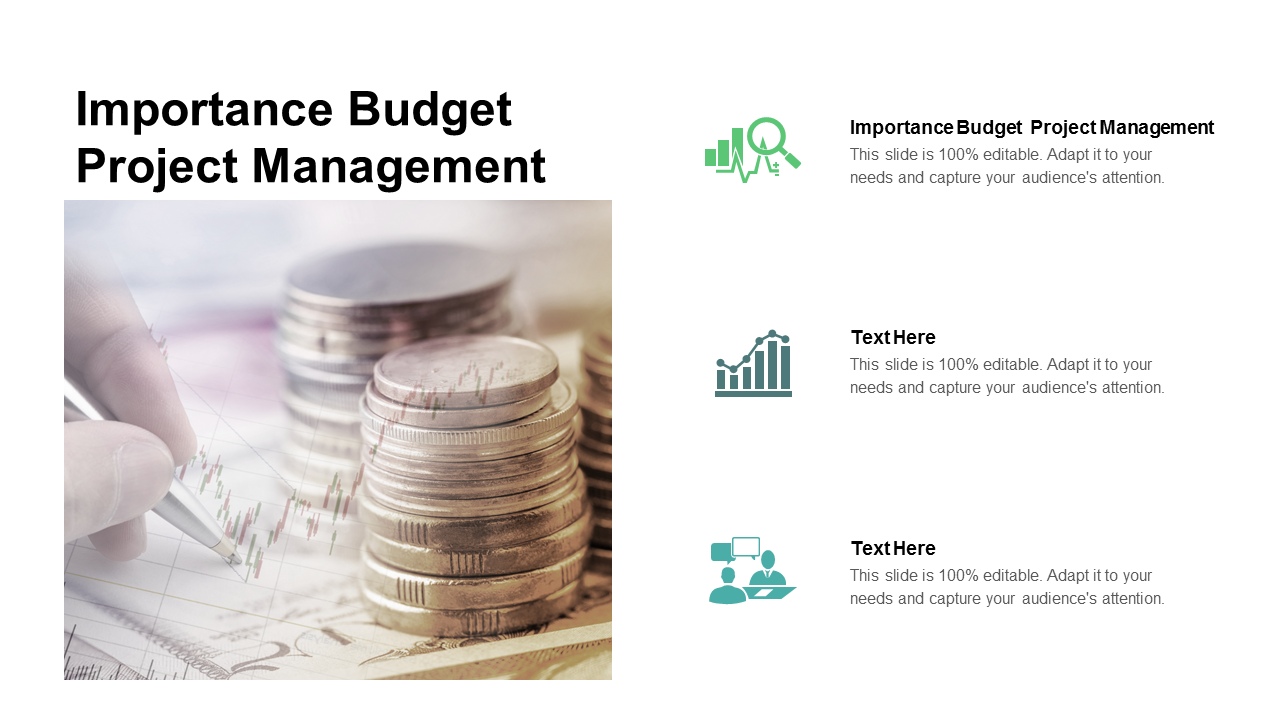Importance Budget Project Management PowerPoint Slides