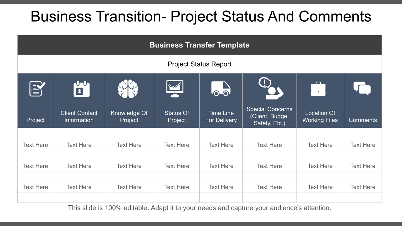 Business Transition Project Status And Comments