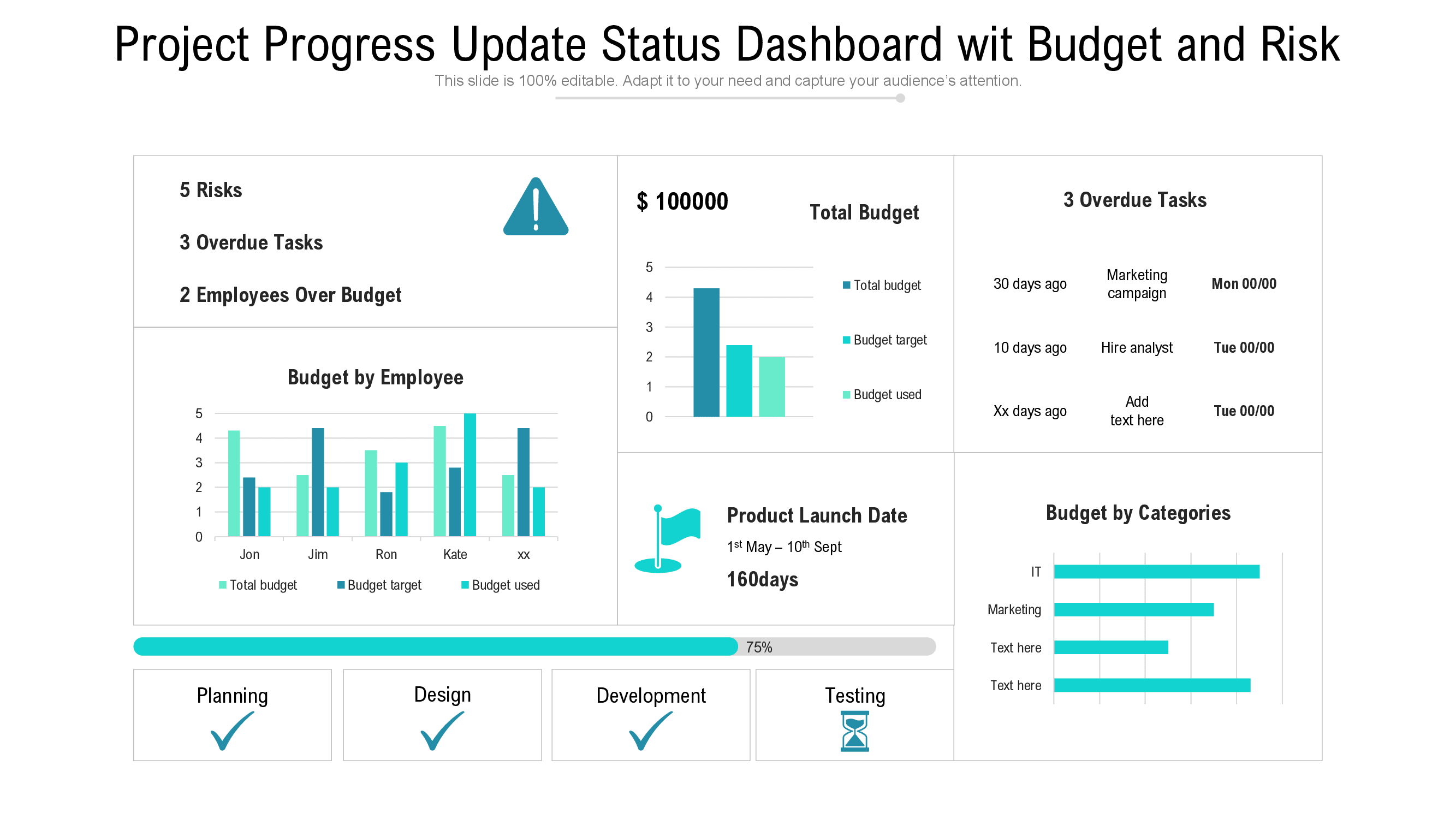 Project Progress Update Status Dashboard Wit Budget And Risk