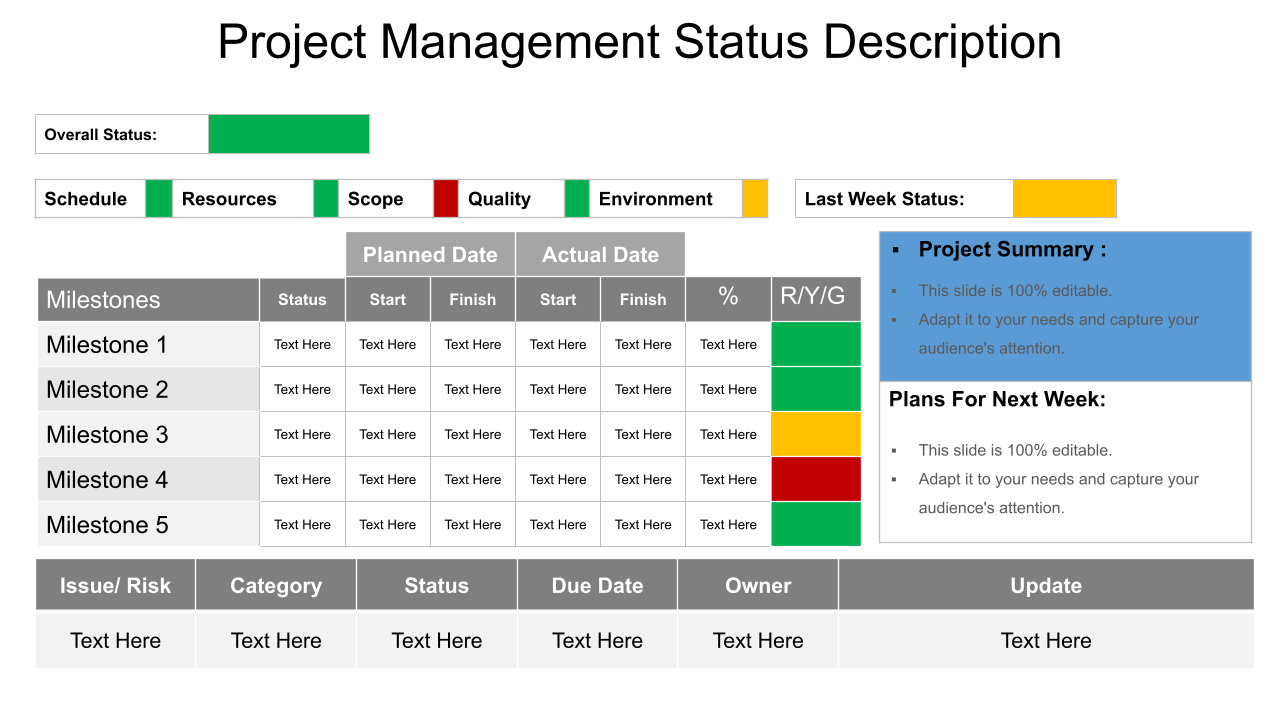 Project Management Status Description Powerpoint Slide Rules