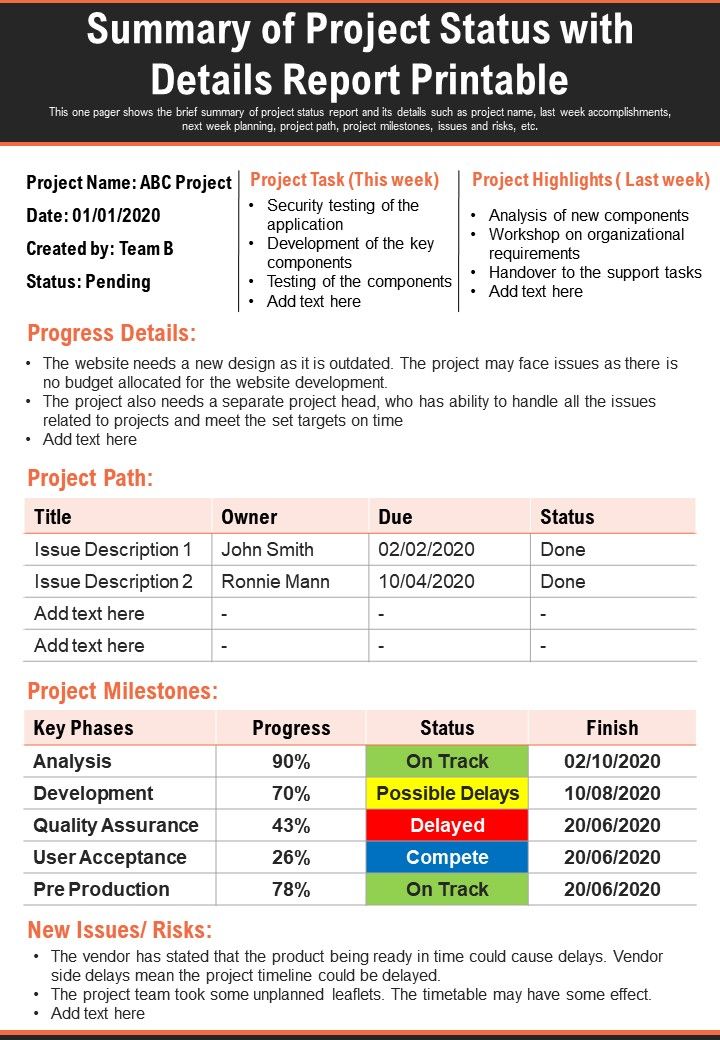 Summary Of Project Status With Details Report Printable Presentation Report Infographic PPT PDF Document