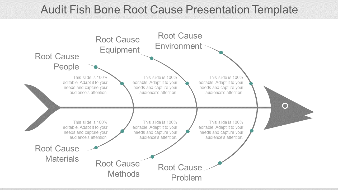 Audit Fish Bone Root Cause Presentation