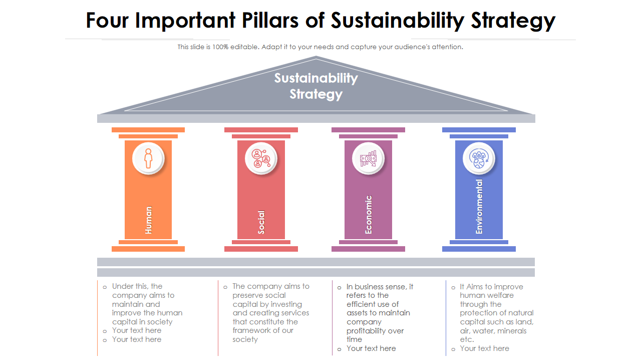 Four Important Pillars of Sustainability Strategy