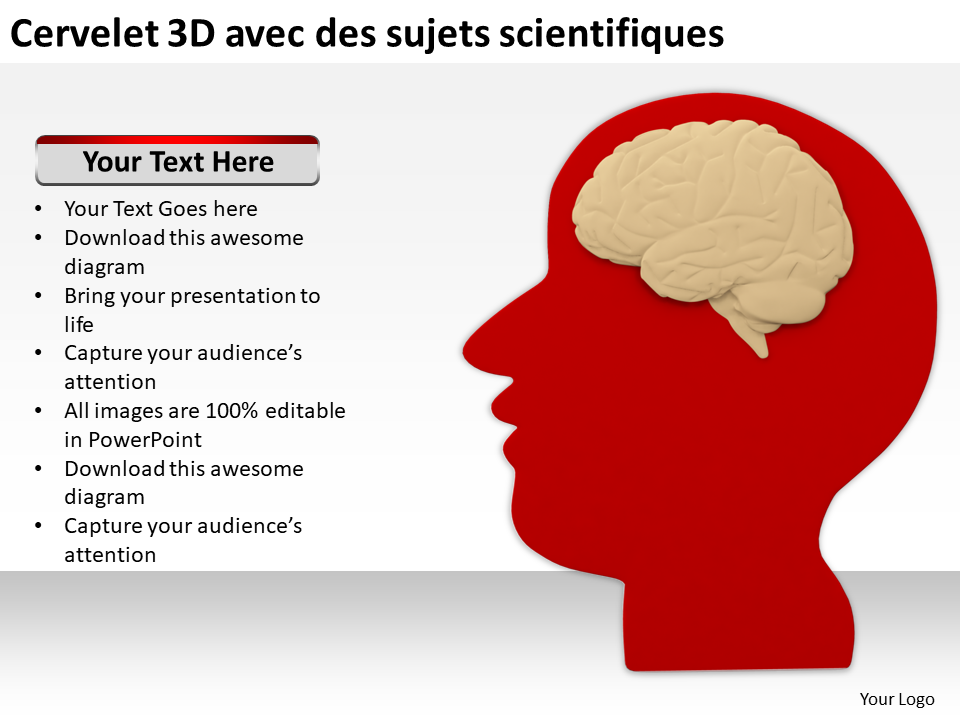 Cervelet 3D avec des sujets scientifiques