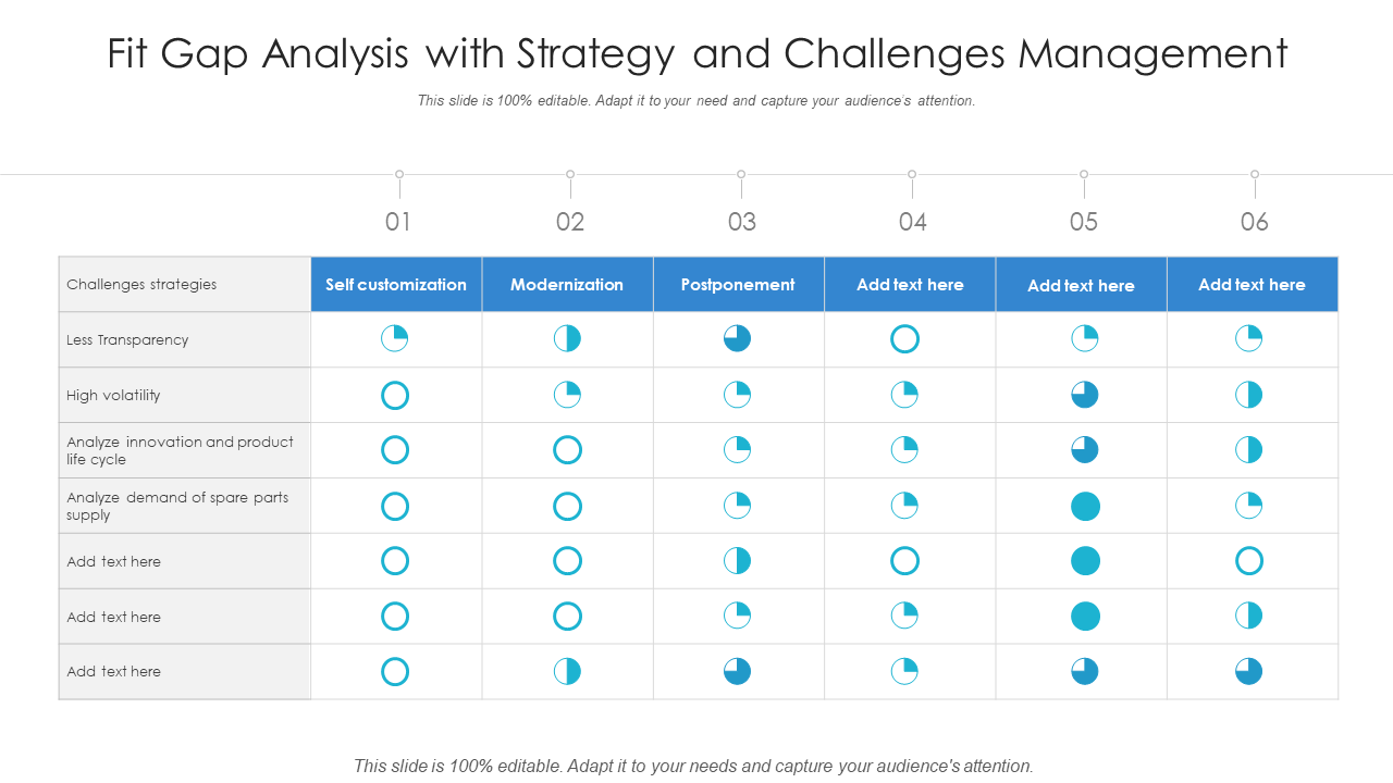 Fit Gap Analysis with Strategy and Challenges Management