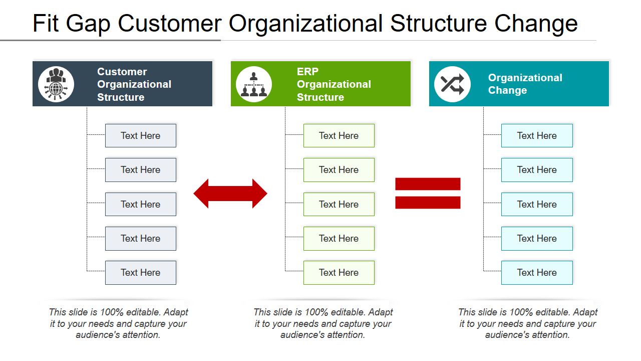Fit Gap Customer Organizational Structure