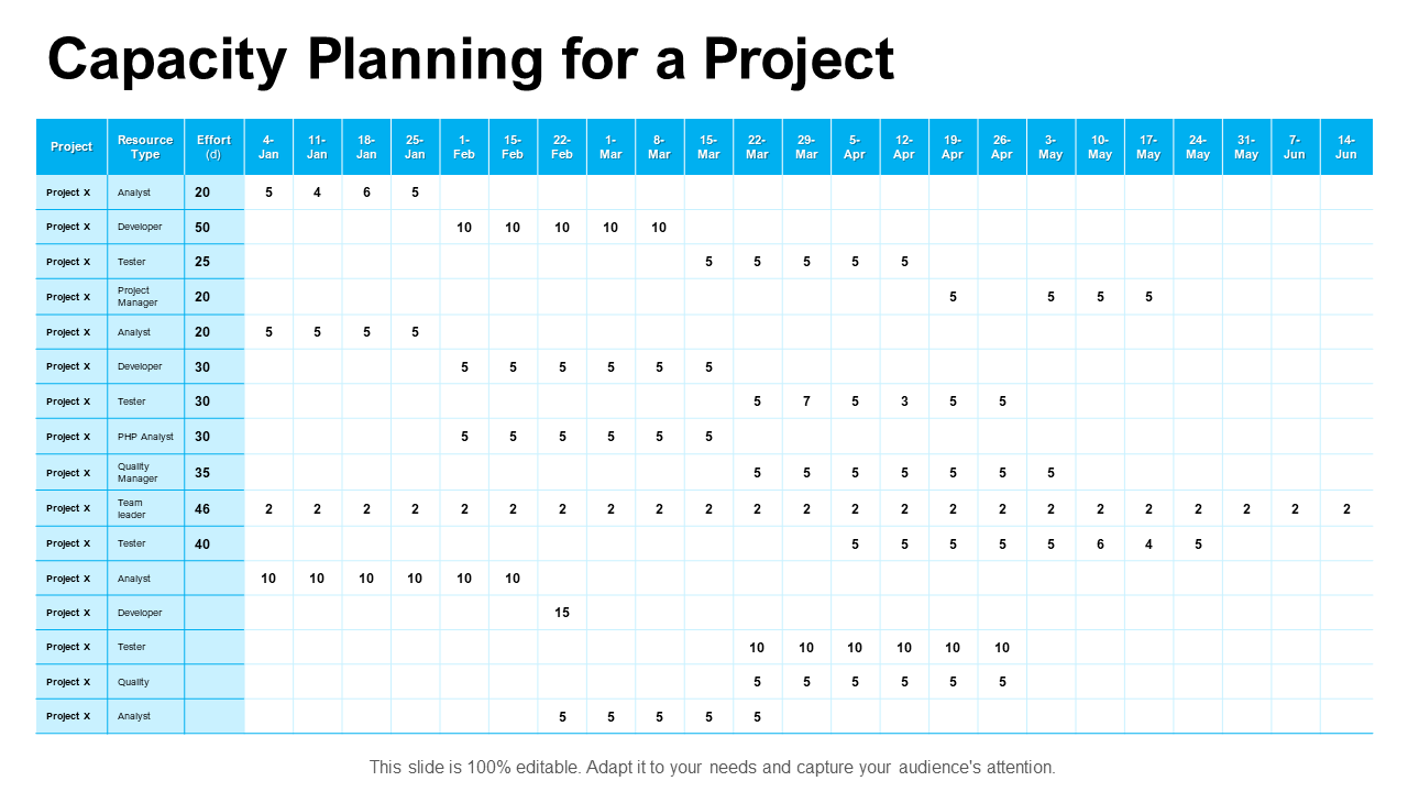 Capacity Planning for a Project