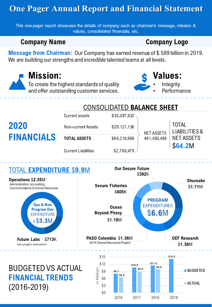 One Pager Annual Report And Financial Statement Presentation Report