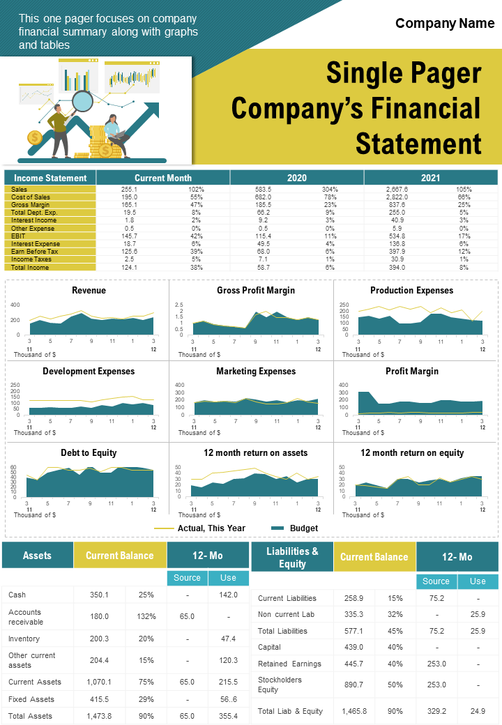 Single Pager Companys Financial Statement Presentation Report Infographic