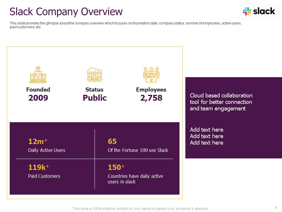 The Company Overview Slide