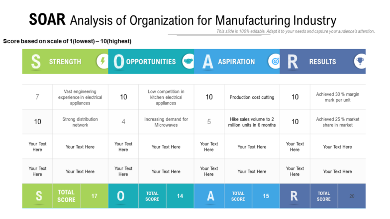Soar Analysis Of Organization For Manufacturing Industry