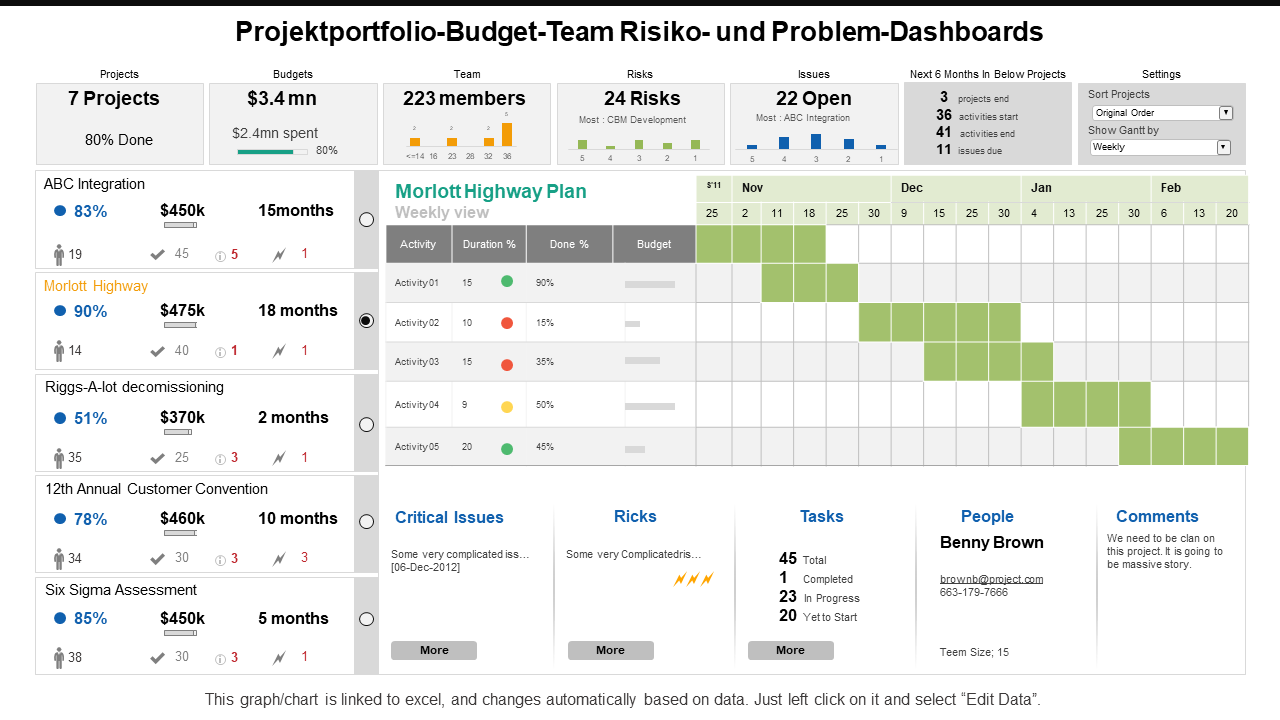 Projektportfolio-Budget-Team Risiko- und Problem-Dashboards