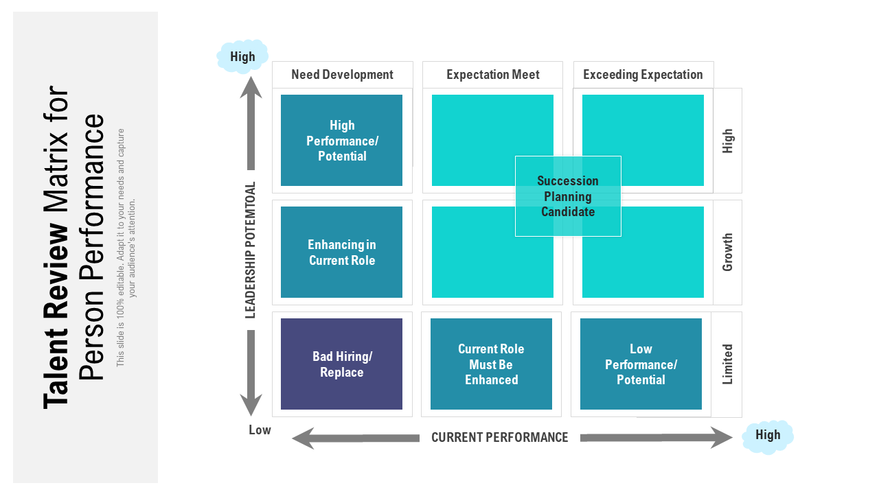 Talent Review Matrix For Person Performance