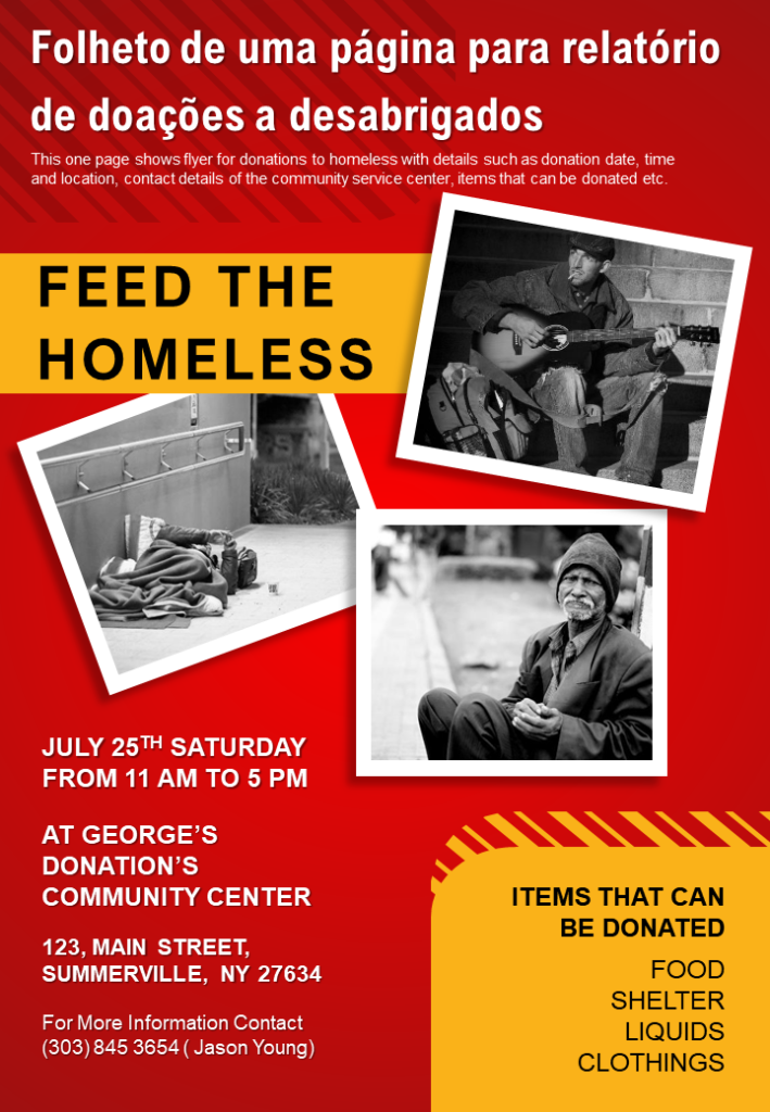 One Page Flyer For Donations To Homeless Report Relatório de Apresentação Infográfico PPT Documento PDF