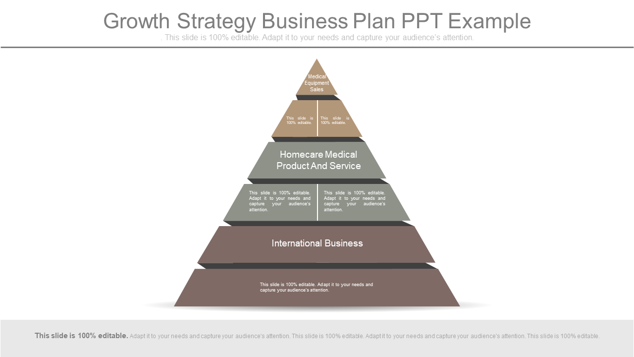 Growth Strategy Business Plan PPT Example