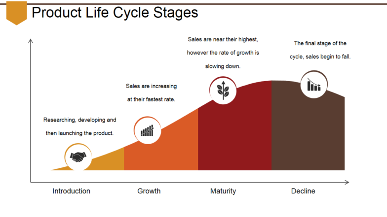 Product Life Cycle Stages PPT Slide
