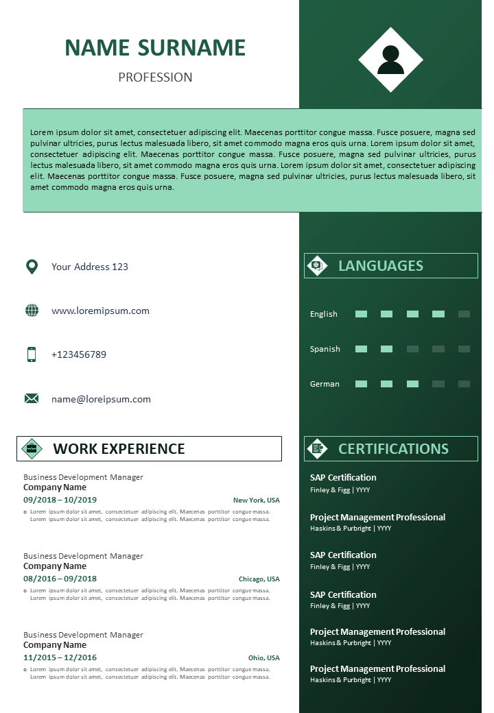 CV Format With Summary With Education And Work Experience