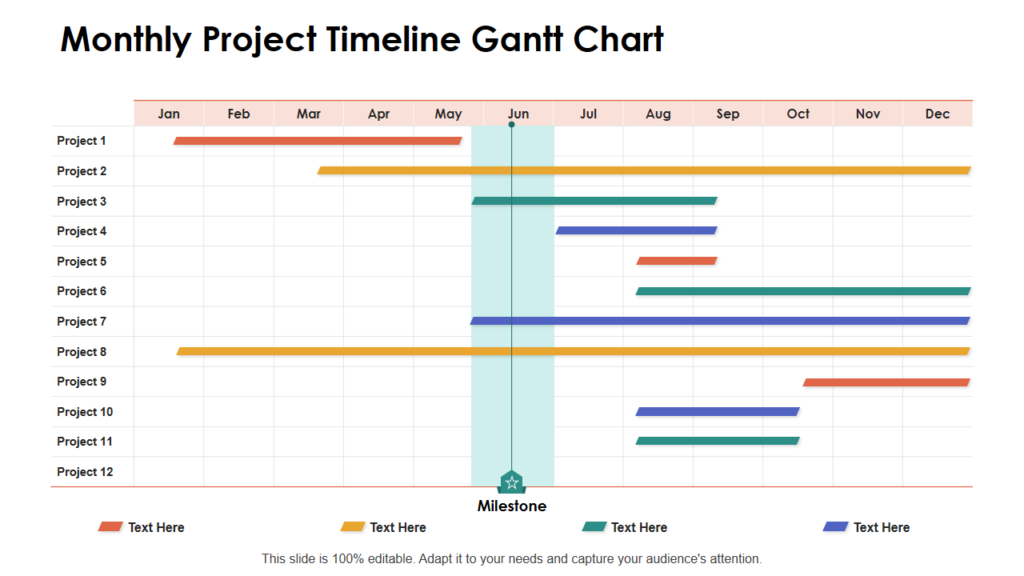 Project Timeline PPT Template