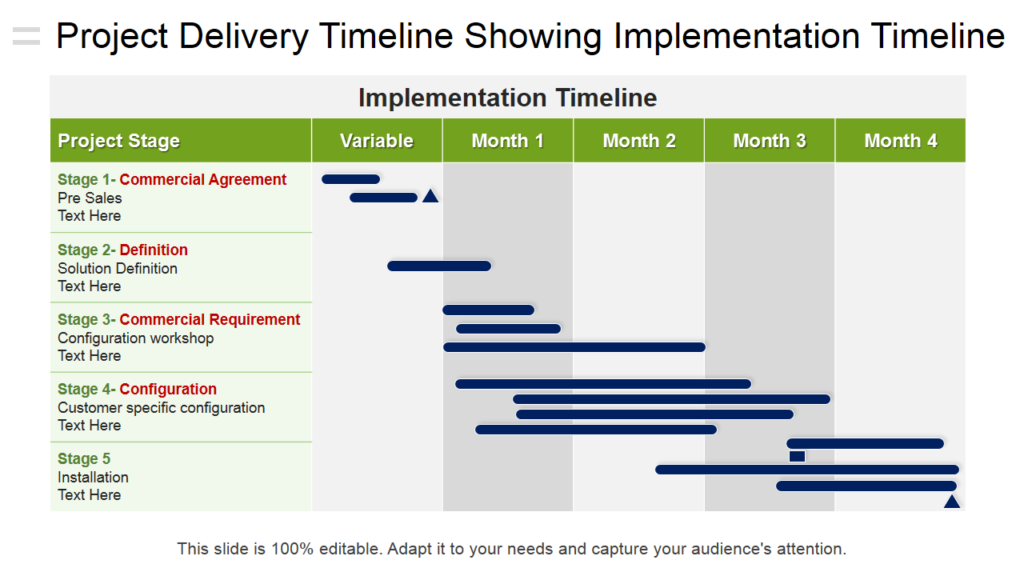 Project Delivery Timeline PPT Slide