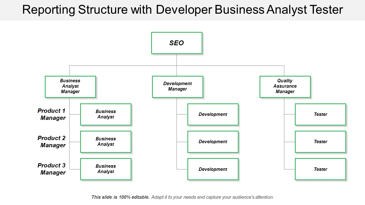 Reporting Structure With Developer Business Analyst