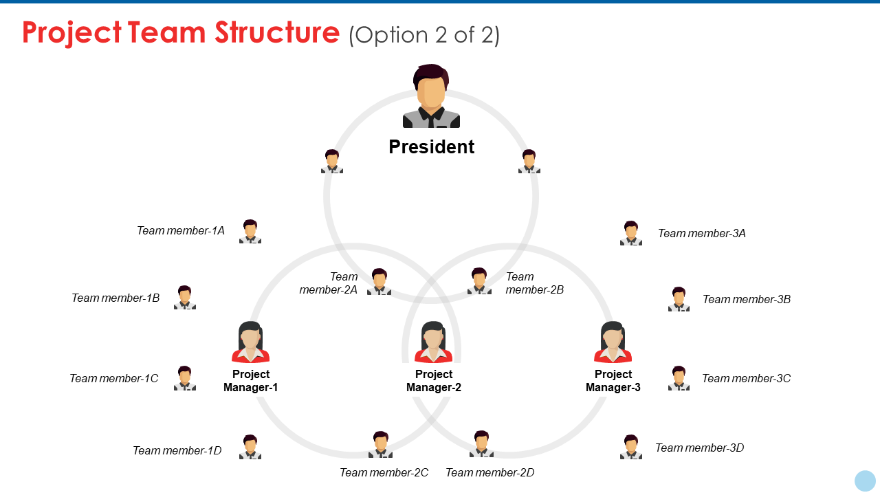 Project team structure PPT styles structure
