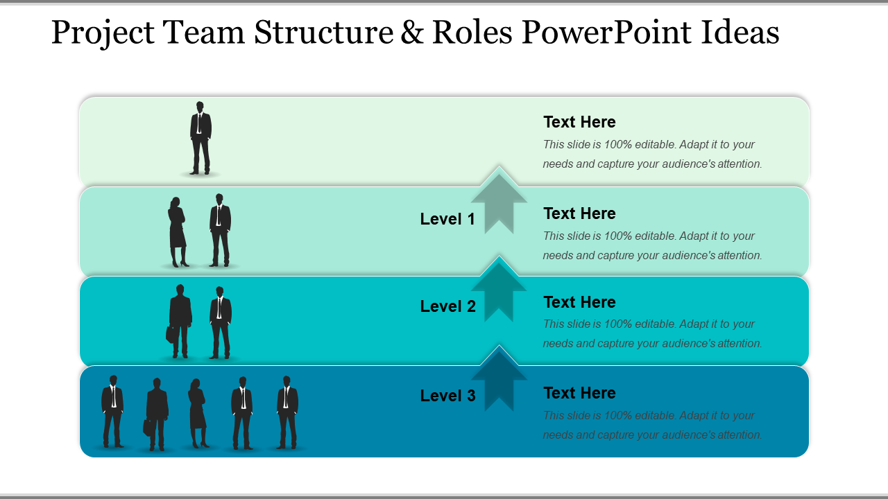 Project team structure and roles PowerPoint ideas