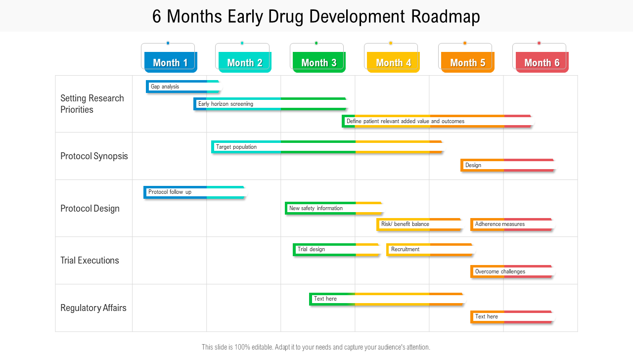 6 months early drug development roadmap PPT