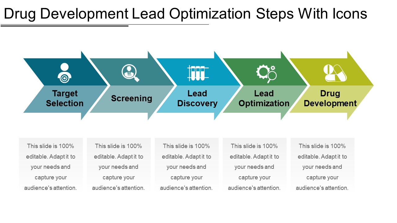 Drug development lead optimization steps with icons PPT