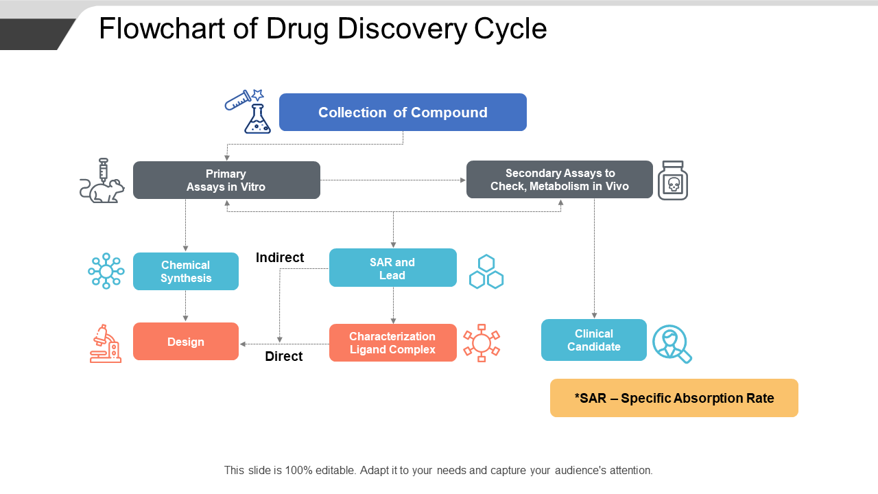 Flowchart of drug discovery cycle PPT