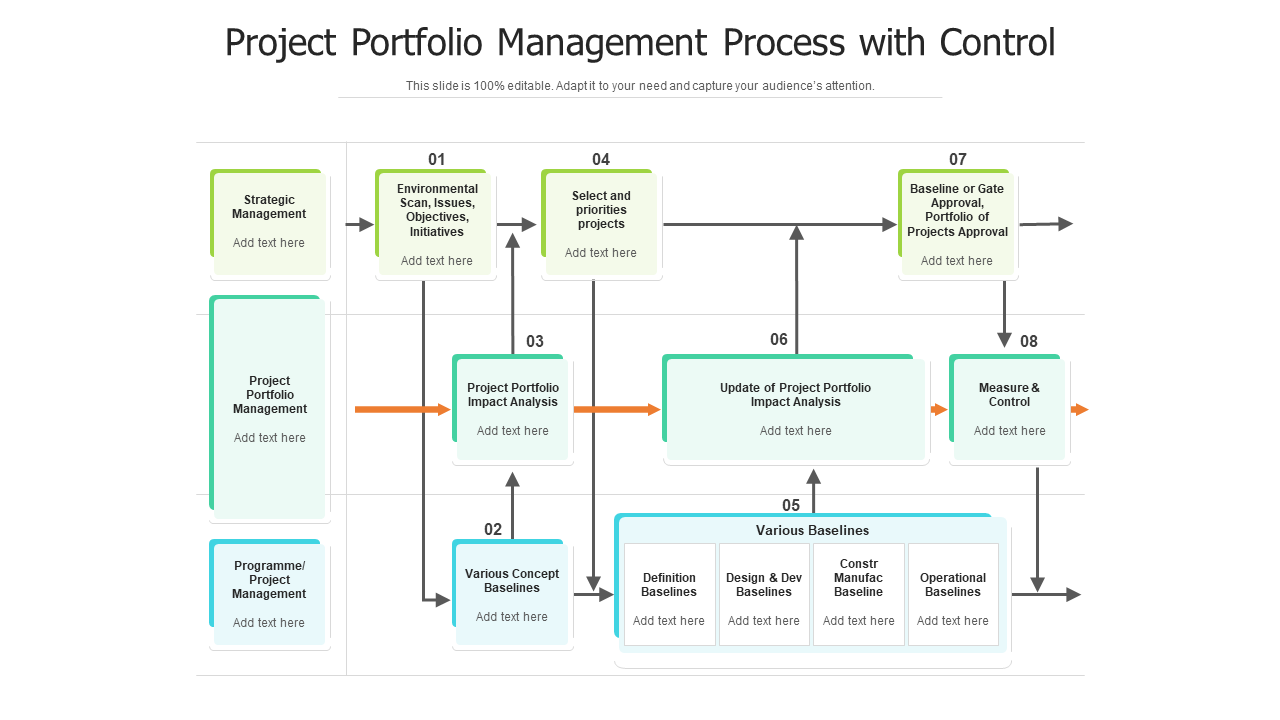 Project portfolio management process with control