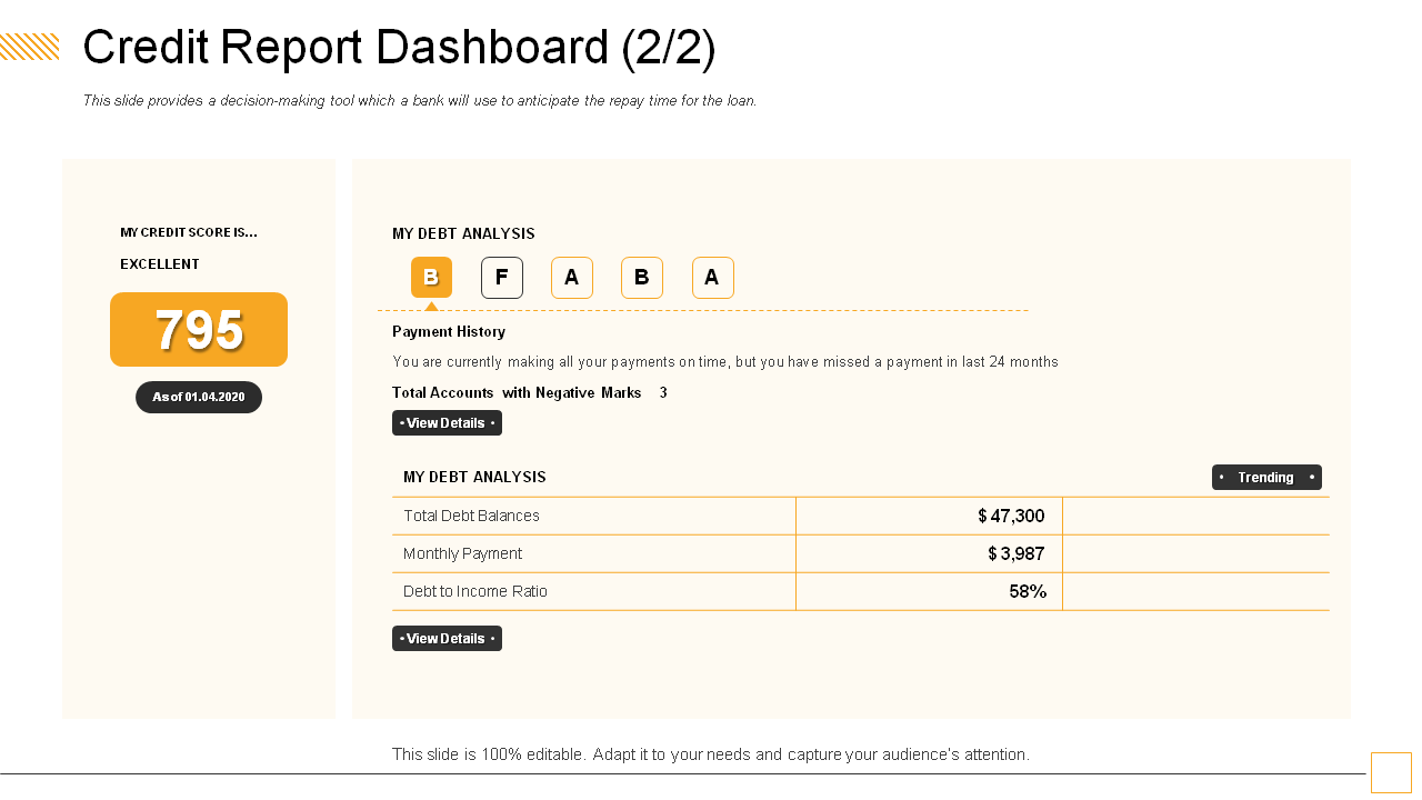 Credit Report Dashboard Design