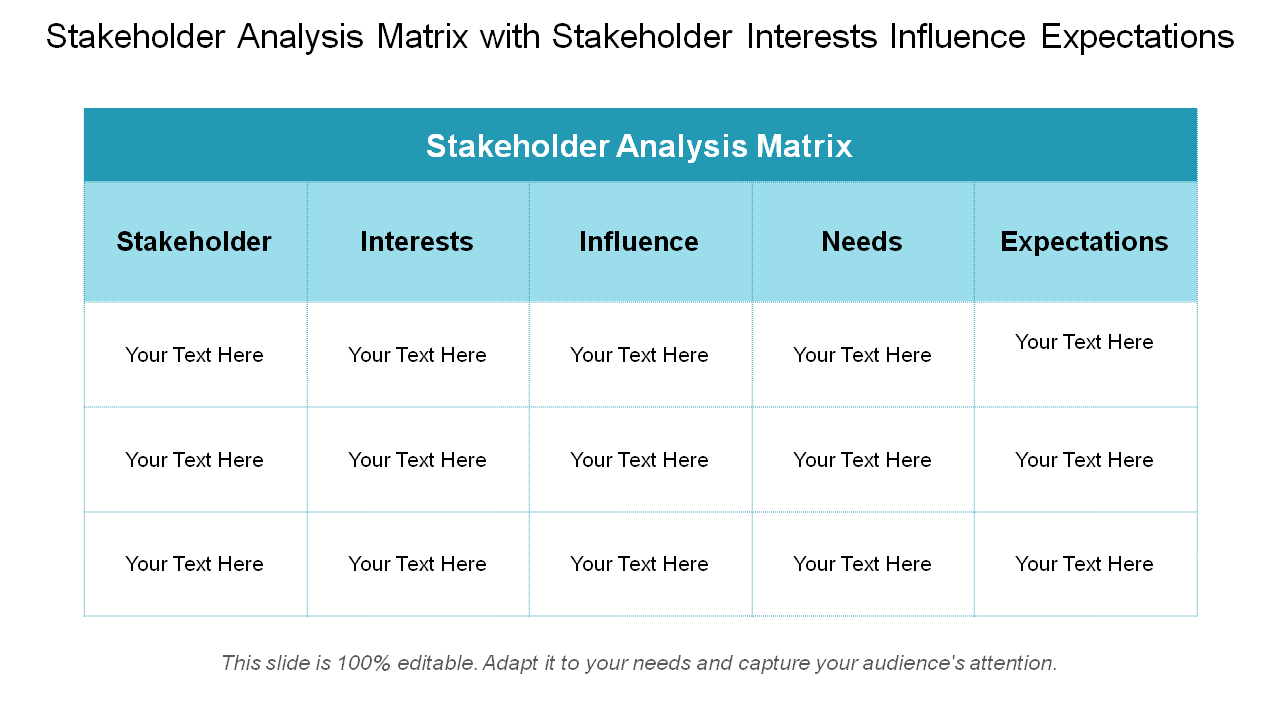 Stakeholder Analysis Matrix with Stakeholder Interests Influence Expectations